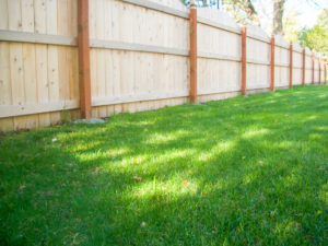 6' wood solid privacy fence, 3-rail construction. Cedar Rapids fence company residential fencing contractors Nebraska cedar western red cedar treated pine white red yellow CCA  ACQ2 incense fir 2x4 1x6 2" x 4"  1" x 6"  nails stain solid privacy picket scalloped board on board shadow box pickets rails posts installation panels post caps modern horizontal backyard front yard ranch gate garden diy split rail house lattice old rustic vertical metal post picket dog ear contemporary custom