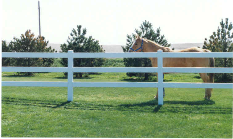 Types of Fencing in Cedar Rapids, IA - American Fence Company of Cedar  Rapids, Iowa